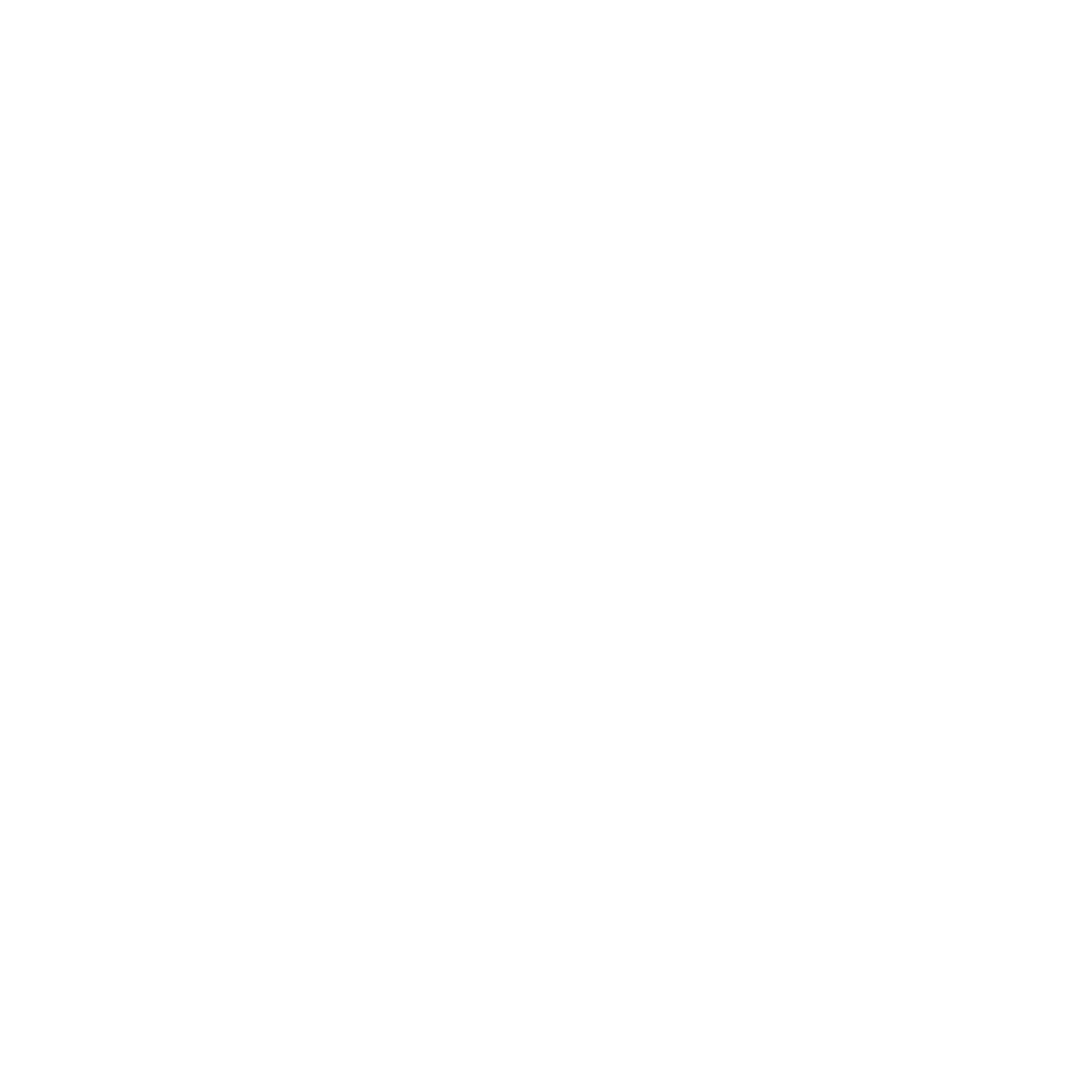 Payment Speed Icon